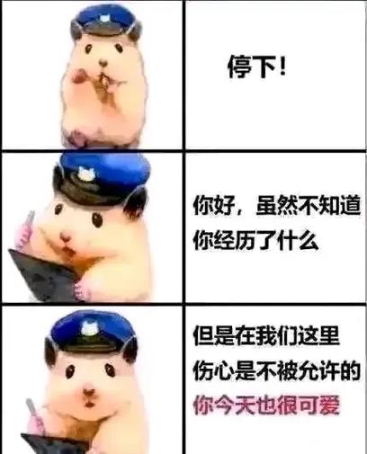 小学生网络梗口头禅