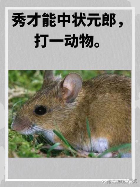 高中状元的生肖