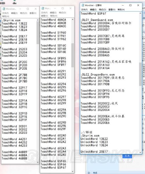 老滚5附魔随从有效