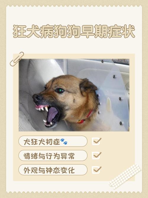 狂犬病有前兆还能救吗