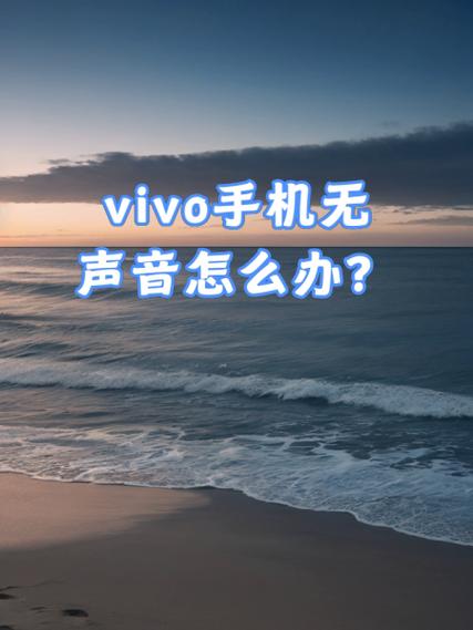 vivo视频播放没有声音