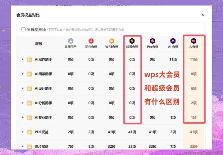 svk送会员