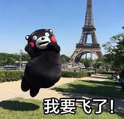 起飞表情包gif
