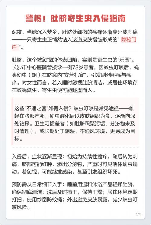 寄生虫从屁股进入女性肚子寄生二次