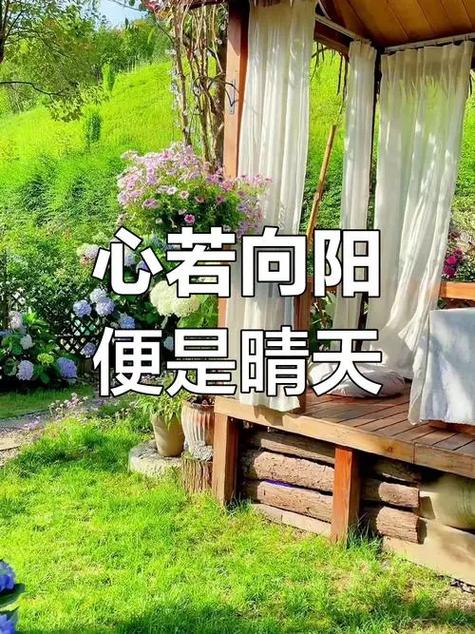综治愈系txt