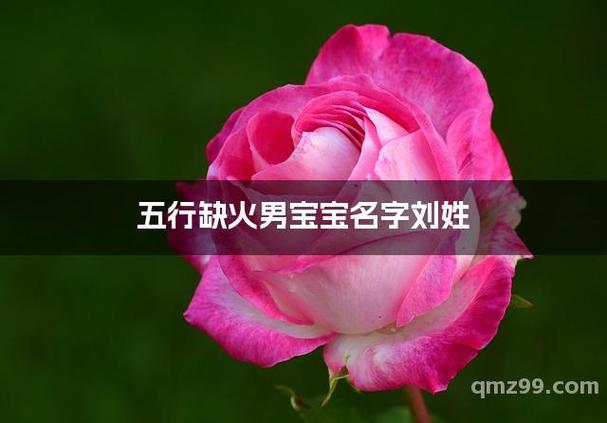 五行缺火最旺男孩名字