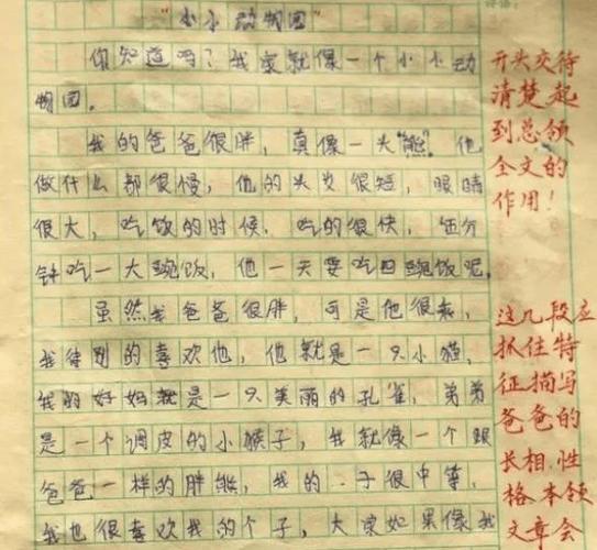 和姐姐一起玩的日记400字