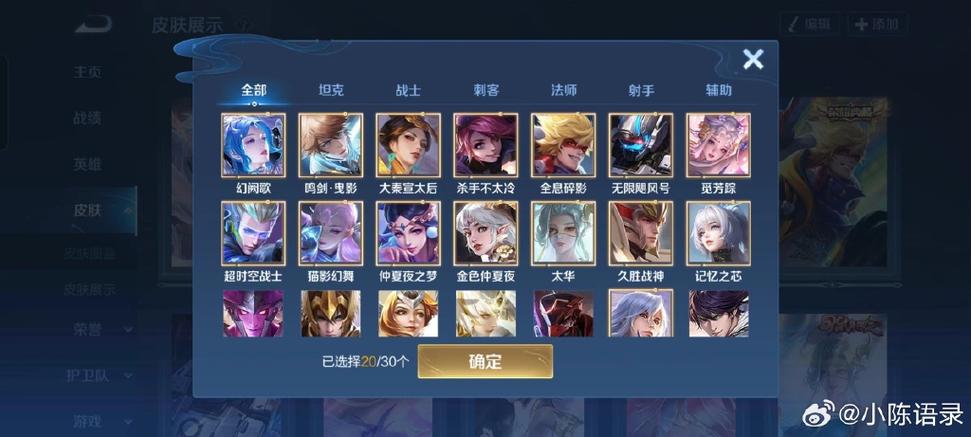 王者荣耀v10皮肤共享次数