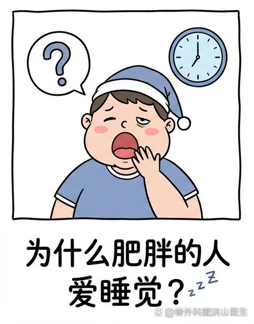 胖友到底什么意思