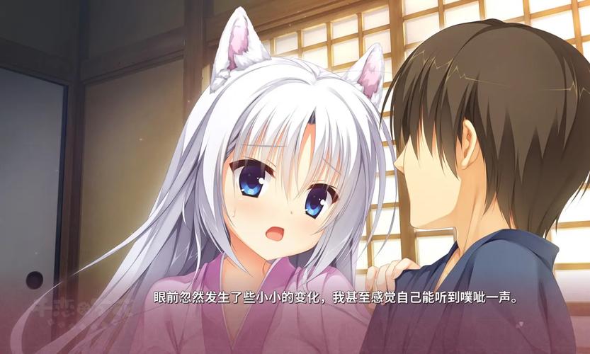 HikariPE手机专用版