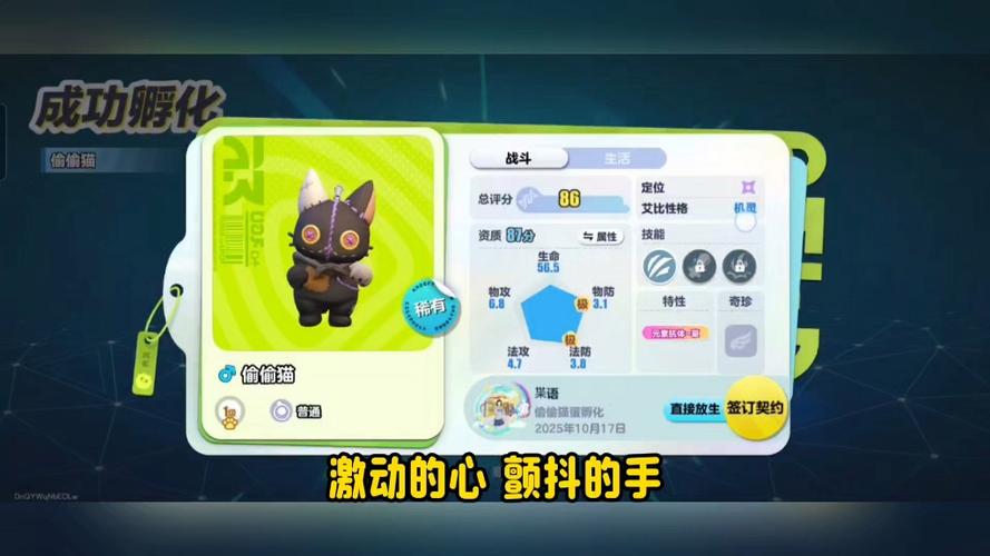 艾比最稀有一只小猫