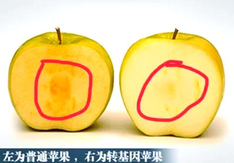 华为手机导入苹果手机内容步骤
