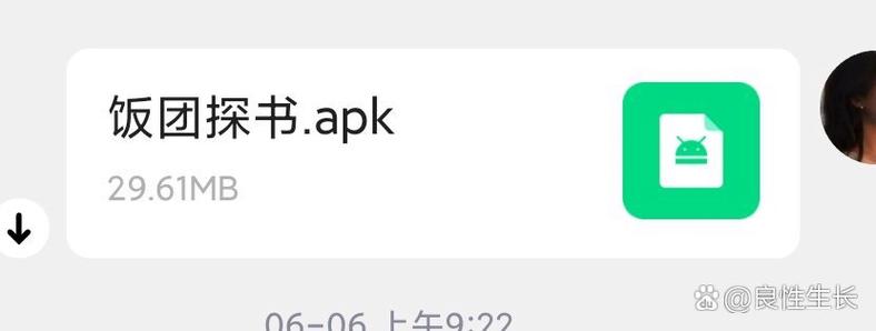 饭团探书阅读体验