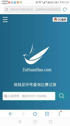 鸽子脚上的脚环编号怎么查