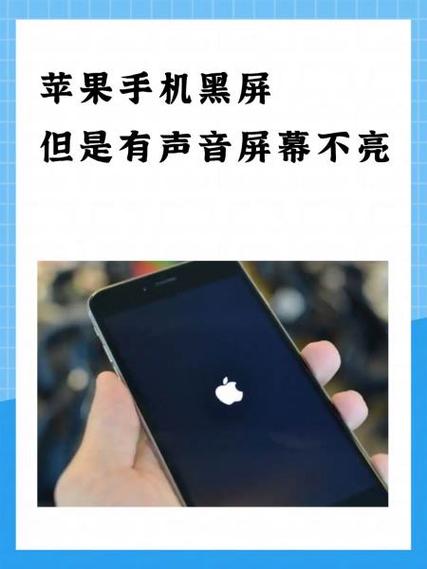 苹果手机听了语音之后黑屏