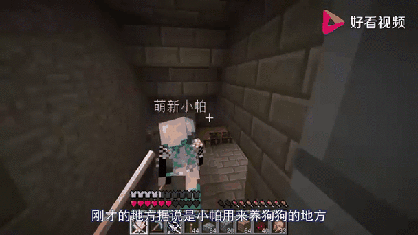 我的世界小帕解说多人联机