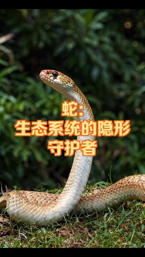 免费修复电脑系统的软件