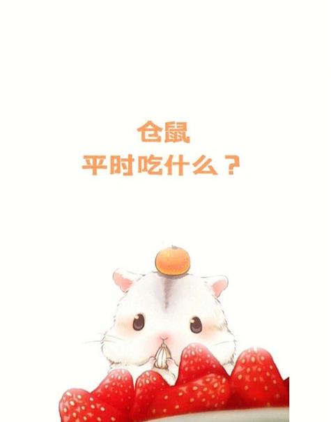 仓鼠能吃什么?