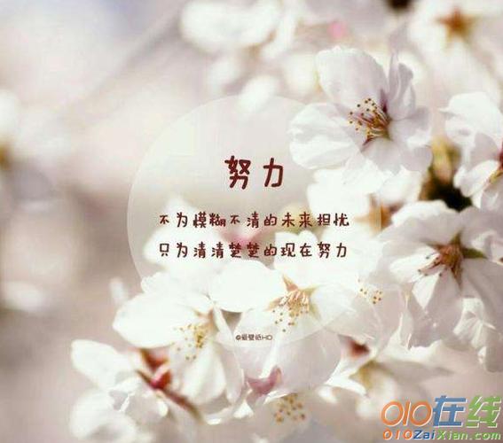 感悟人生感悟生活感悟自己