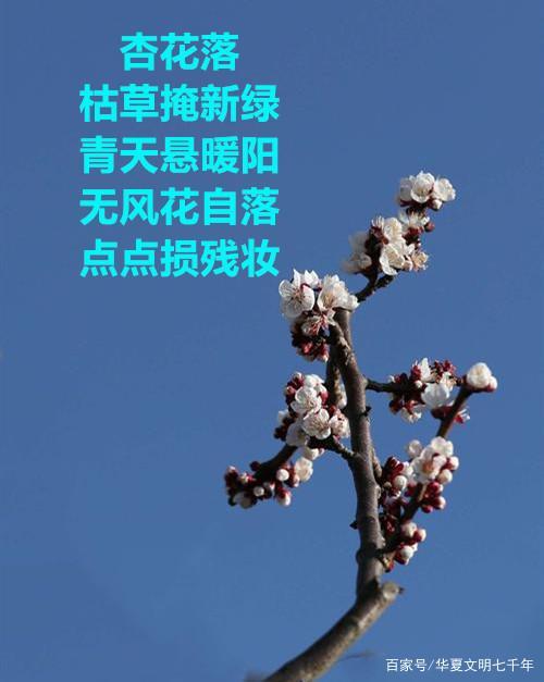 下西风黄叶纷飞,染寒烟衰草萋迷
