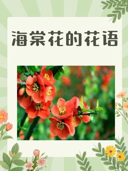 西府海棠和垂丝海棠