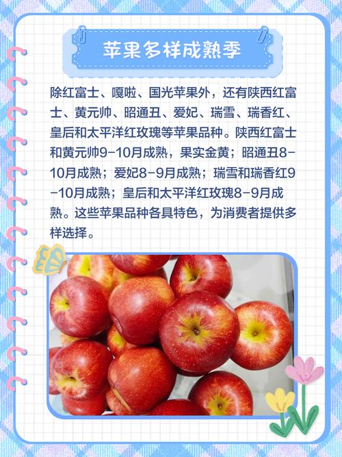 苹果什么季节成熟季节