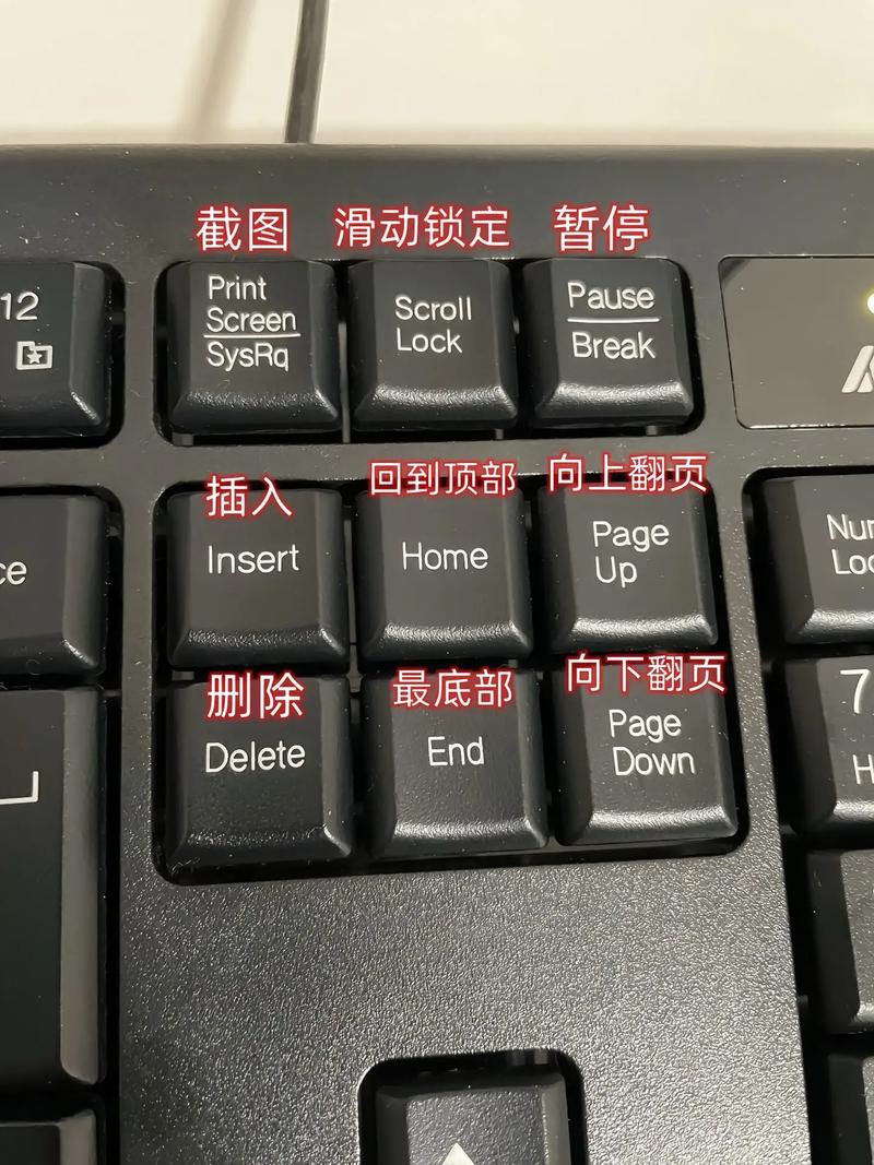 键盘出现混乱怎么解决