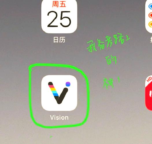 vision使用教程