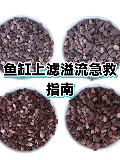 鱼缸会不会爆缸