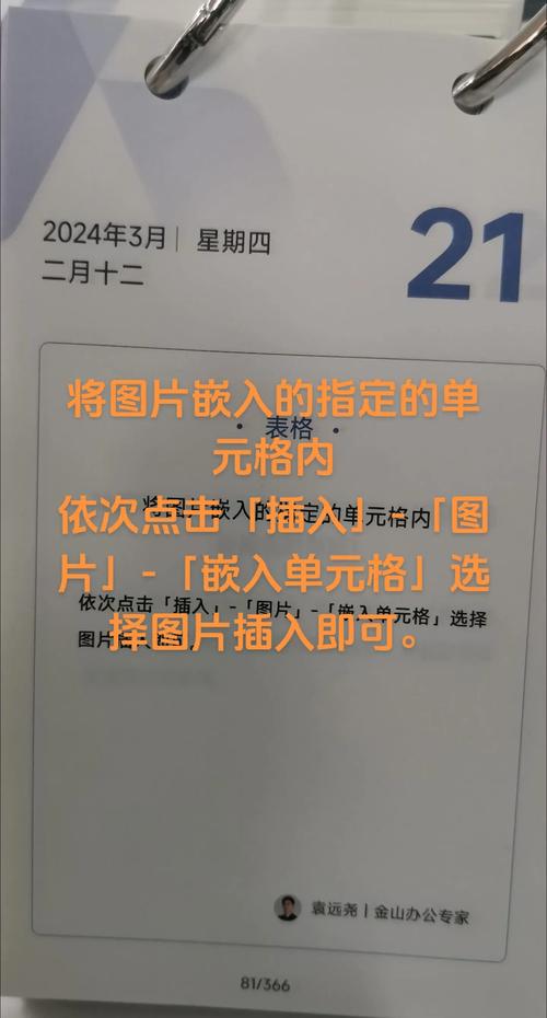如何将图片插到指定的单元格