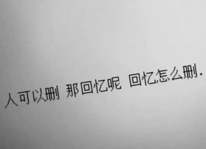 emo版本什么意思