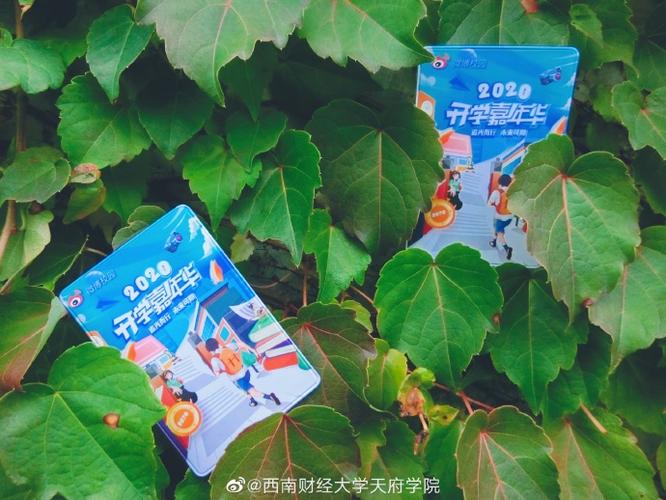 17岁跑外卖的平台