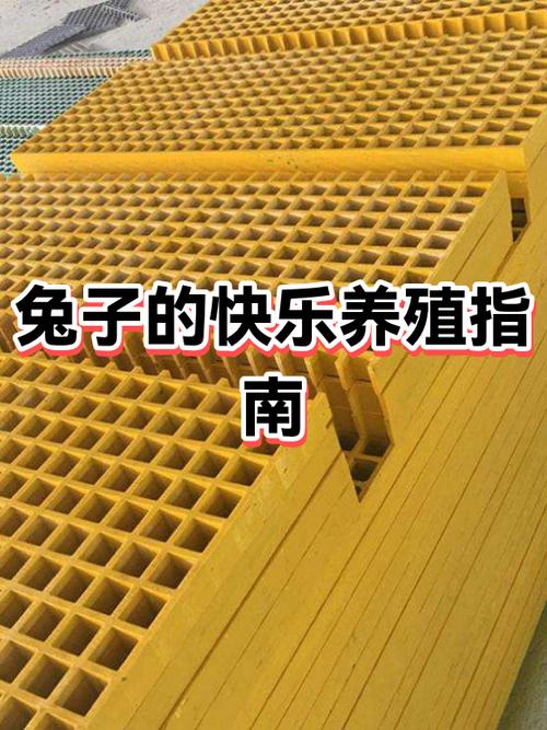 兔子圈养怎样建兔舍