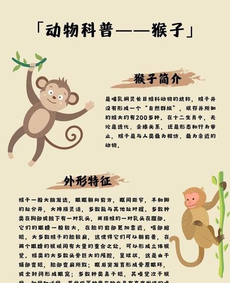 猴子的习性