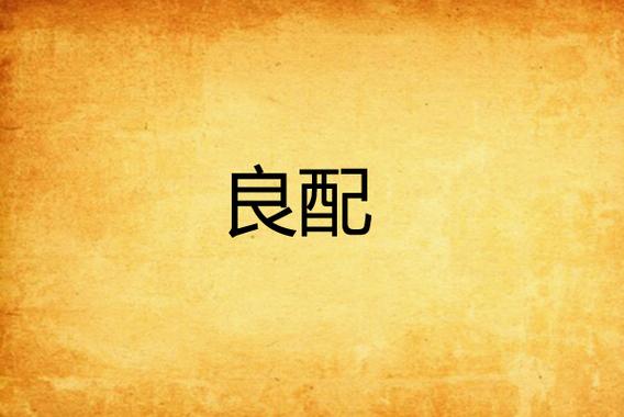 良配小说