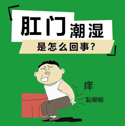 肛门流分泌物
