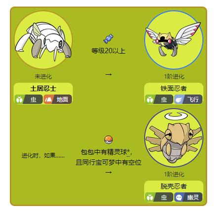 脱壳忍者 剑盾