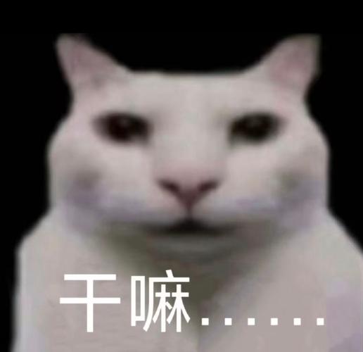 乐讯app是干嘛的