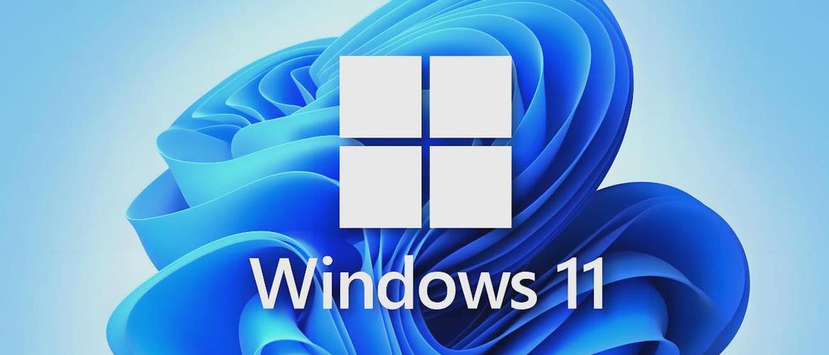 最新版win11