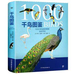 鸟类图鉴中的九大目下各属种的名称和特征