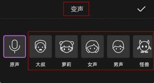 变声器是怎么弄的