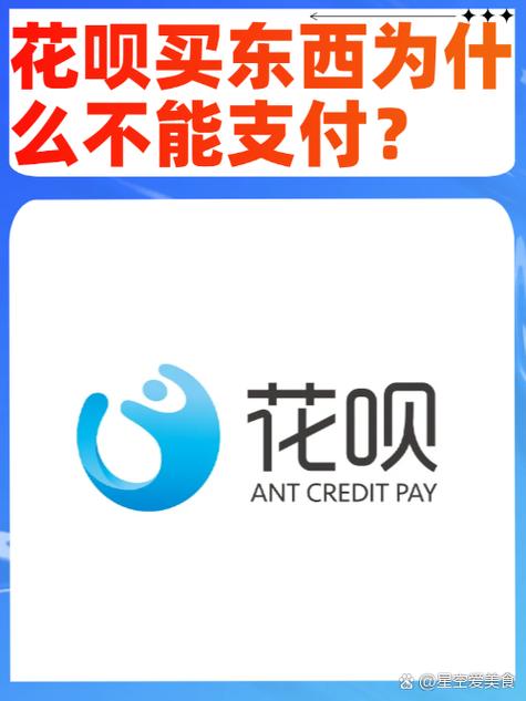 白条借款
