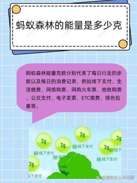 蚂蚁能量15克是消费了什么