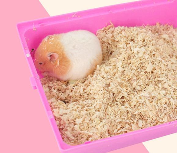 养仓鼠没有木屑可以用卫生纸吗