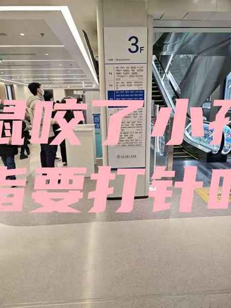 被仓鼠咬了用什么消毒