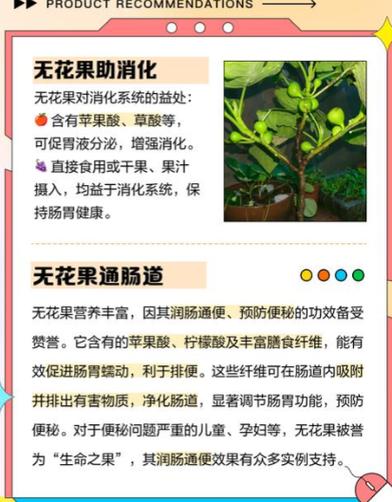 无花果男人吃了有什么作用截图2