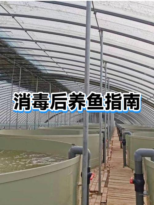 为什么不建议用亚克力鱼缸呢