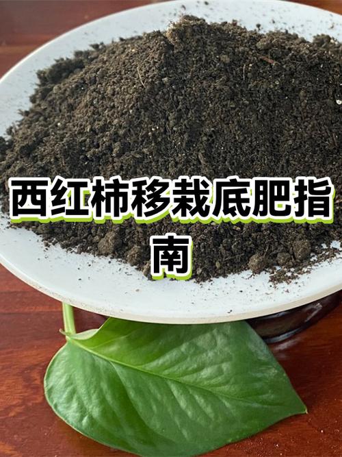 西红柿最爱肥料第一名