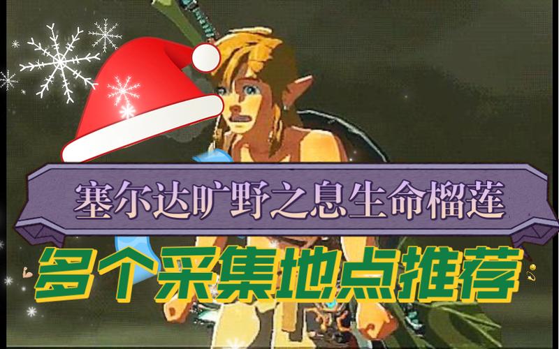榴莲 塞尔达