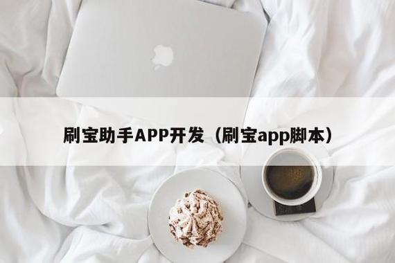 自动刷宝软件怎么用